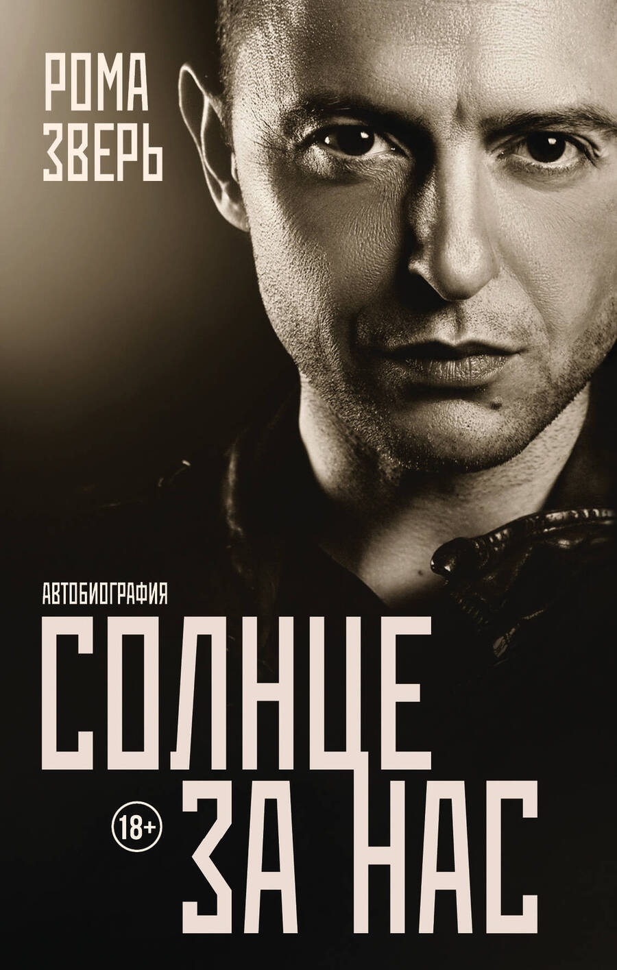 Обложка книги "Рома Зверь: Солнце за нас"