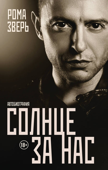 Обложка книги "Рома Зверь: Солнце за нас"