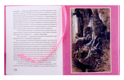 Обложка книги "Роман Бурофил: За буров!"