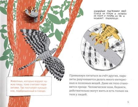 Фотография книги "Роман Фишман: Почему голова чешется?"
