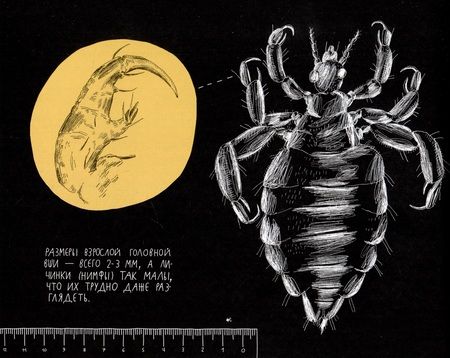 Фотография книги "Роман Фишман: Почему голова чешется?"