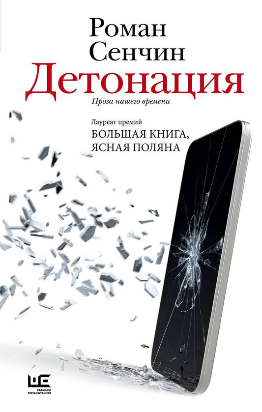 Обложка книги "Роман Валерьевич: Детонация"
