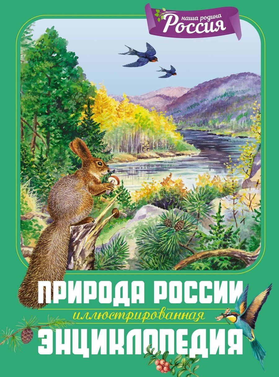 Обложка книги "Романова, Свечников: Природа России. Иллюстрированная энциклопедия"