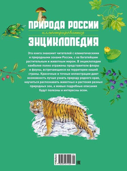 Фотография книги "Романова, Свечников: Природа России. Иллюстрированная энциклопедия"