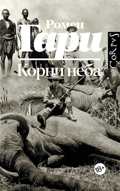 Обложка книги "Ромен Гари: Корни неба"