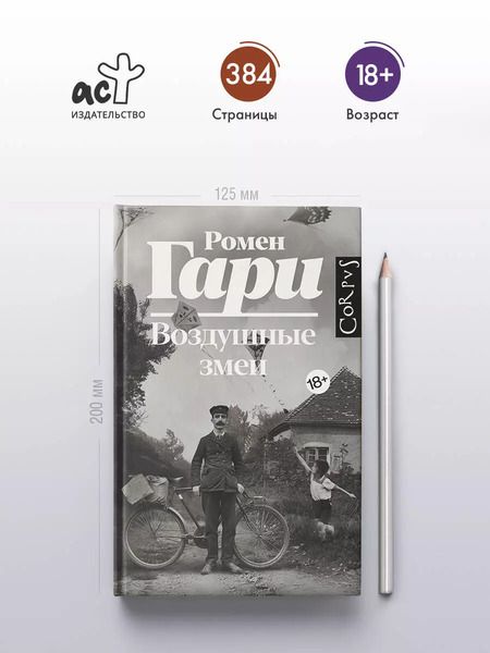 Фотография книги "Ромен Гари: Воздушные змеи"