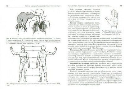 Фотография книги "Ромодановский, Баринов, Спиридонов: Судебная медицина. Руководство к практическим занятиям. Учебное пособие"