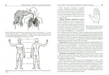 Фотография книги "Ромодановский, Баринов, Спиридонов: Судебная медицина. Руководство к практическим занятиям. Учебное пособие"