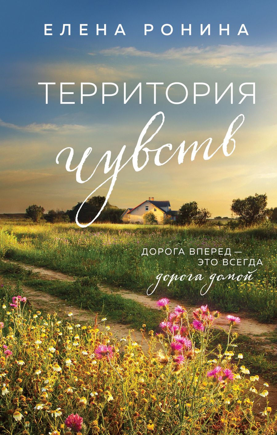 Обложка книги "Ронина: Территория чувств"