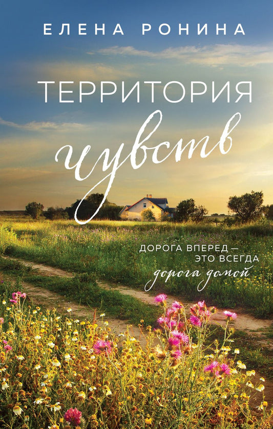 Обложка книги "Ронина: Территория чувств"