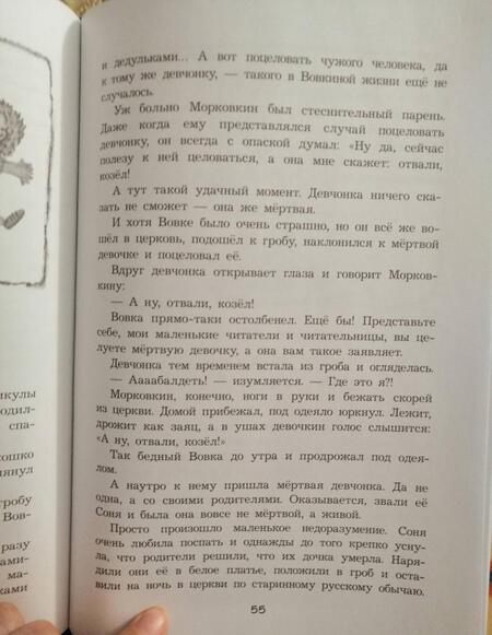 Фотография книги "Роньшин: Новые приключения Вовки Морковкина"