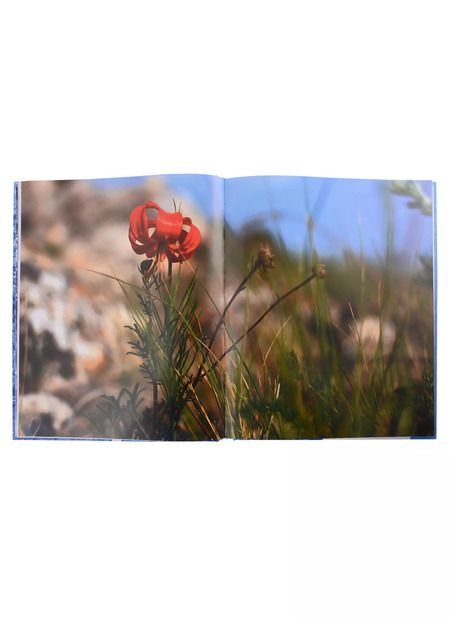 Фотография книги "Россия. Сибирь. Фотоальбом"