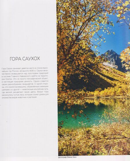 Фотография книги "Россия. Заповедными дикими тропами: фотоальбом"