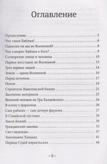 Фотография книги "Ростислав Николаевич: О Библии и Евангелии"