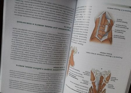 Фотография книги "Роутер, Ковач: Анатомия тенниса"