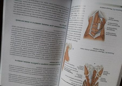 Фотография книги "Роутер, Ковач: Анатомия тенниса"