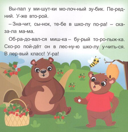 Фотография книги "Роза Шовкятовна: Мишуткин торт. Читаю сам по слогам. Большие буквы"