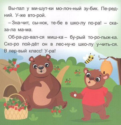 Фотография книги "Роза Шовкятовна: Мишуткин торт. Читаю сам по слогам. Большие буквы"