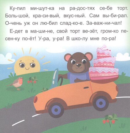 Фотография книги "Роза Шовкятовна: Мишуткин торт. Читаю сам по слогам. Большие буквы"