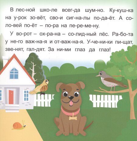 Фотография книги "Роза Шовкятовна: Стрекозкины уроки. Читаю сам по слогам. Большие буквы"