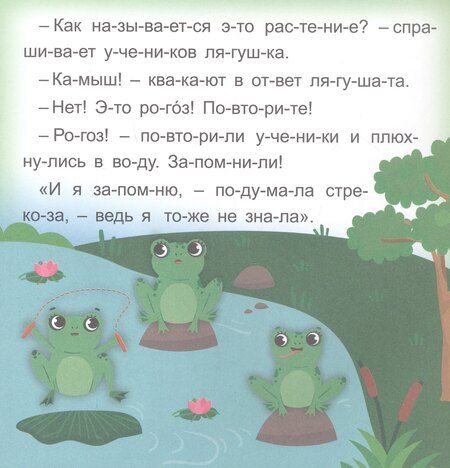 Фотография книги "Роза Шовкятовна: Стрекозкины уроки. Читаю сам по слогам. Большие буквы"