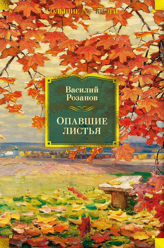 Обложка книги "Розанов: Опавшие листья"