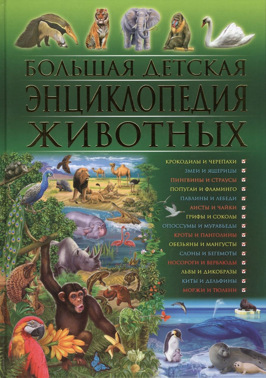 Обложка книги "Рублев, Скиба: Большая детская энциклопедия животных"