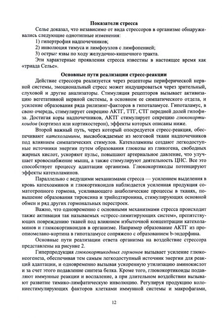 Фотография книги "Рубцова, Рубцов: Теоретико-методические основы адаптивного физического воспитания. Учебное пособие для СПО"