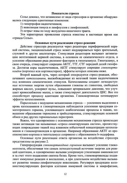 Фотография книги "Рубцова, Рубцов: Теоретико-методические основы адаптивного физического воспитания. Учебное пособие для СПО"