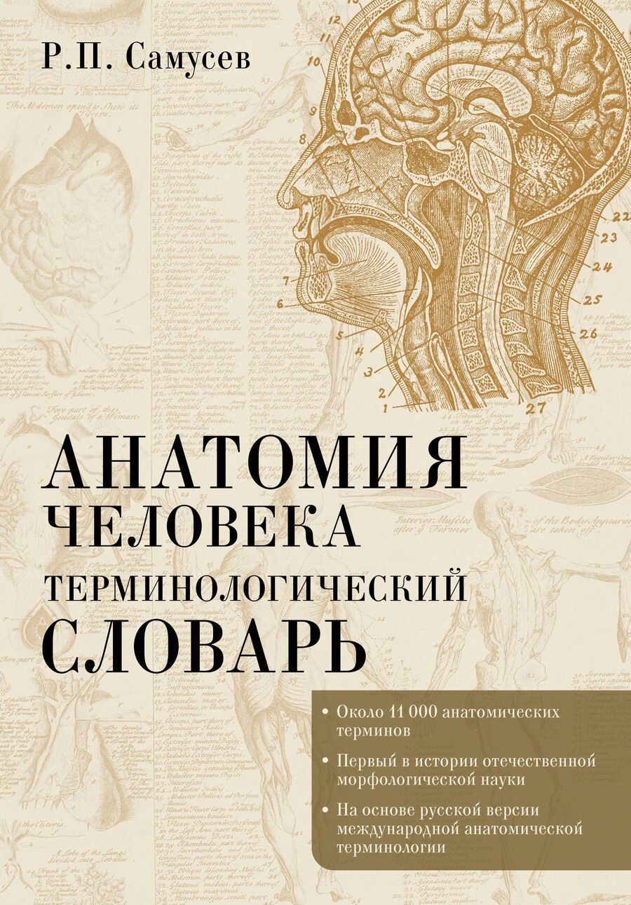 Обложка книги "Рудольф Павлович: Анатомия человека.Терминологический словарь"