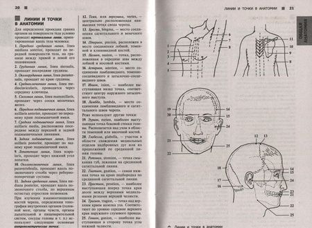 Фотография книги "Рудольф Самусев: Справочный атлас анатомии человека (На основе Международной анатомической терминологии)"