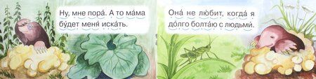 Фотография книги "Румянцева, Румянцева: Крот"