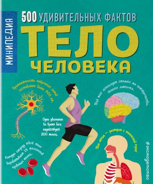Обложка книги "Руни Энн: Тело человека. 500 удивительных фактов"