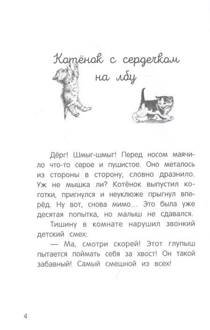 Фотография книги "Русинова: Долгая дорога домой"