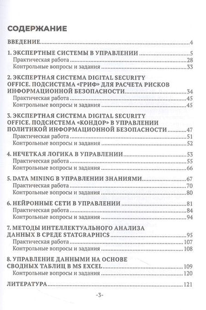 Фотография книги "Руслан Баженов: Интеллектуальные информационные технологии в управлении"