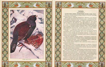 Фотография книги "Русская охота"
