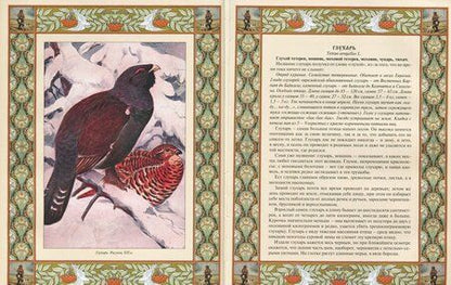 Фотография книги "Русская охота"