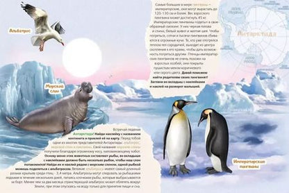 Фотография книги "Рустам Исматуллаев: Животные на континентах. Книжка с многоразовыми наклейками"