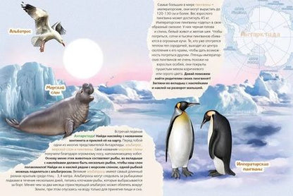 Фотография книги "Рустам Исматуллаев: Животные на континентах. Книжка с многоразовыми наклейками"