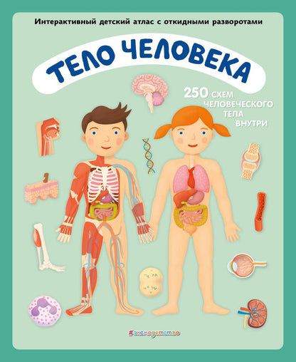 Обложка книги "Ружичка: Тело человека. Интерактивный детский атлас с откидными разворотами"