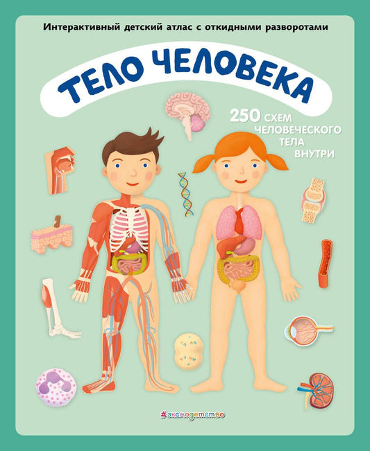 Обложка книги "Ружичка: Тело человека. Интерактивный детский атлас с откидными разворотами"