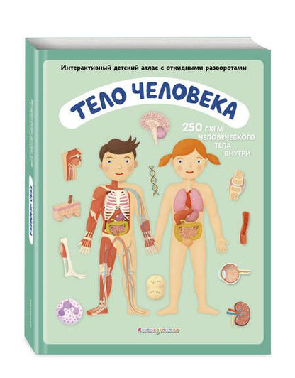Фотография книги "Ружичка: Тело человека. Интерактивный детский атлас с откидными разворотами"