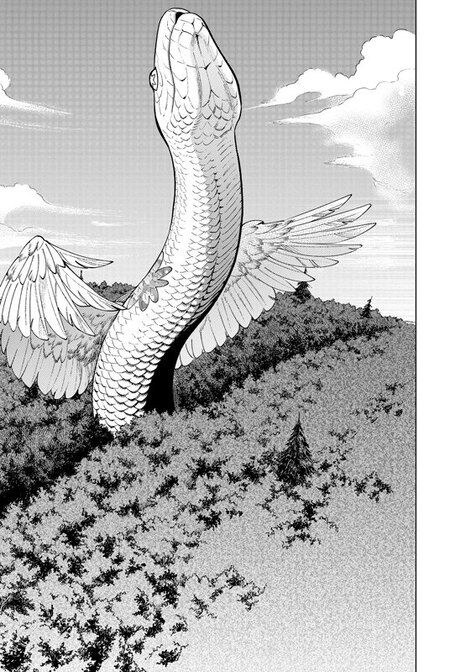 Фотография книги "Рёко Куи: Подземелье вкусностей. Том 6 (Dungeon Meshi). Манга"