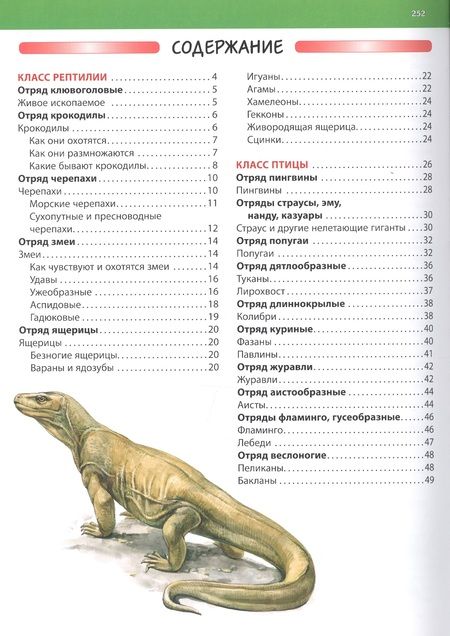 Фотография книги "С. Рублев: Животные. Большая детская энциклопедия"