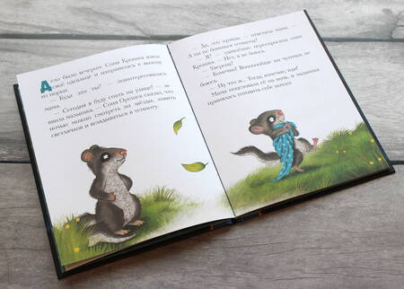 Фотография книги "Сабина Больманн: История маленькой сони, которая совсем не боялась темноты"