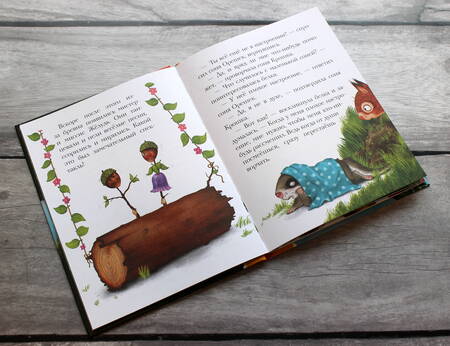 Фотография книги "Сабина Больманн: История маленькой сони, которая весь день была не в духе"