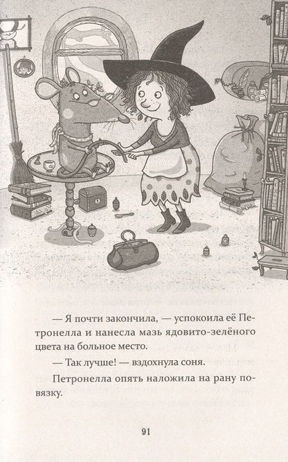 Фотография книги "Сабина Штэдинг: Петронелла и фестиваль волшебников"