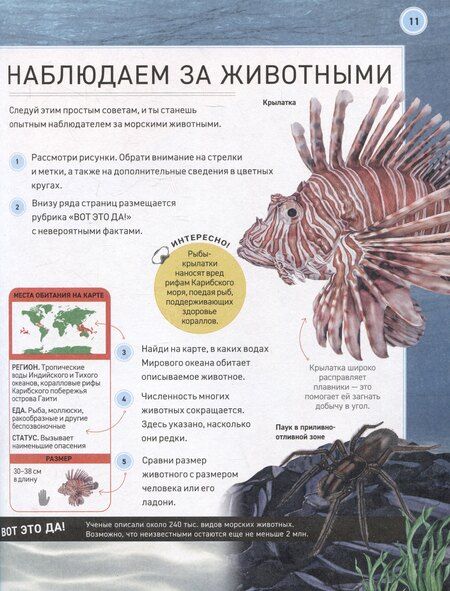 Фотография книги "Сабрина Вейс: Подводный мир. Полная энциклопедия"