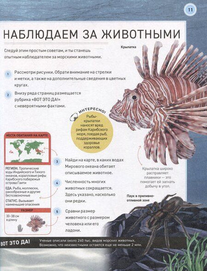 Фотография книги "Сабрина Вейс: Подводный мир. Полная энциклопедия"