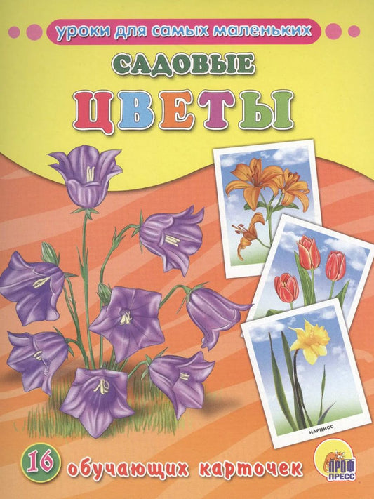 Обложка книги "Садовые цветы"